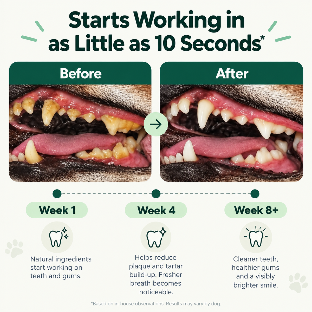 Fresh Breath, Cleaner Teeth & Healthier Gums for Dogs — Dental Powder