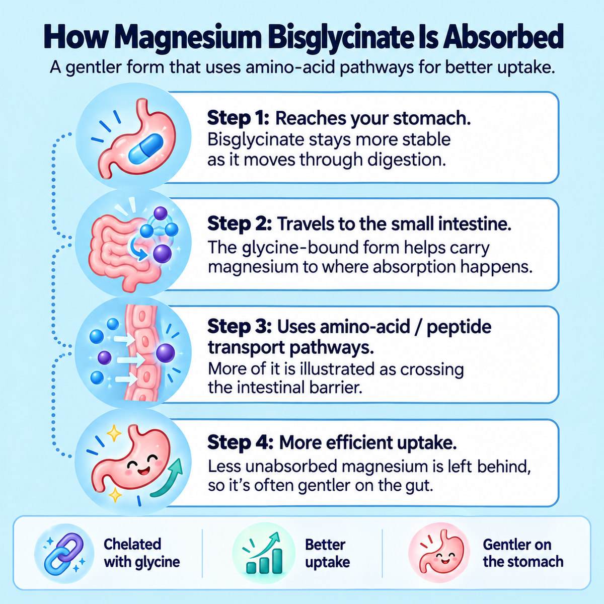 Sidekick Magnesium Bisglycinate Gummies