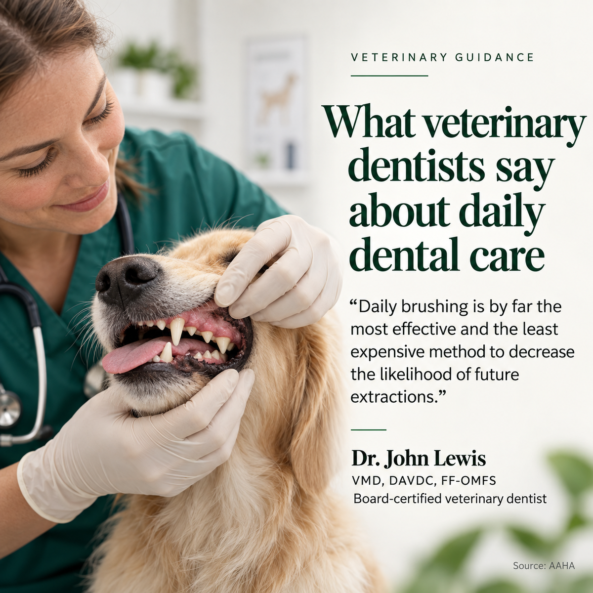 Fresh Breath, Cleaner Teeth & Healthier Gums for Dogs — Dental Powder