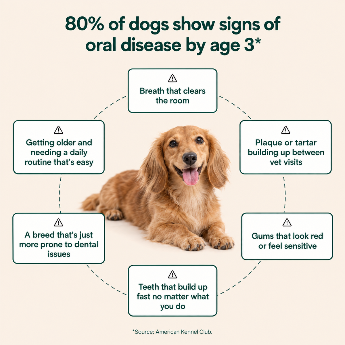 Fresh Breath, Cleaner Teeth & Healthier Gums for Dogs — Dental Powder