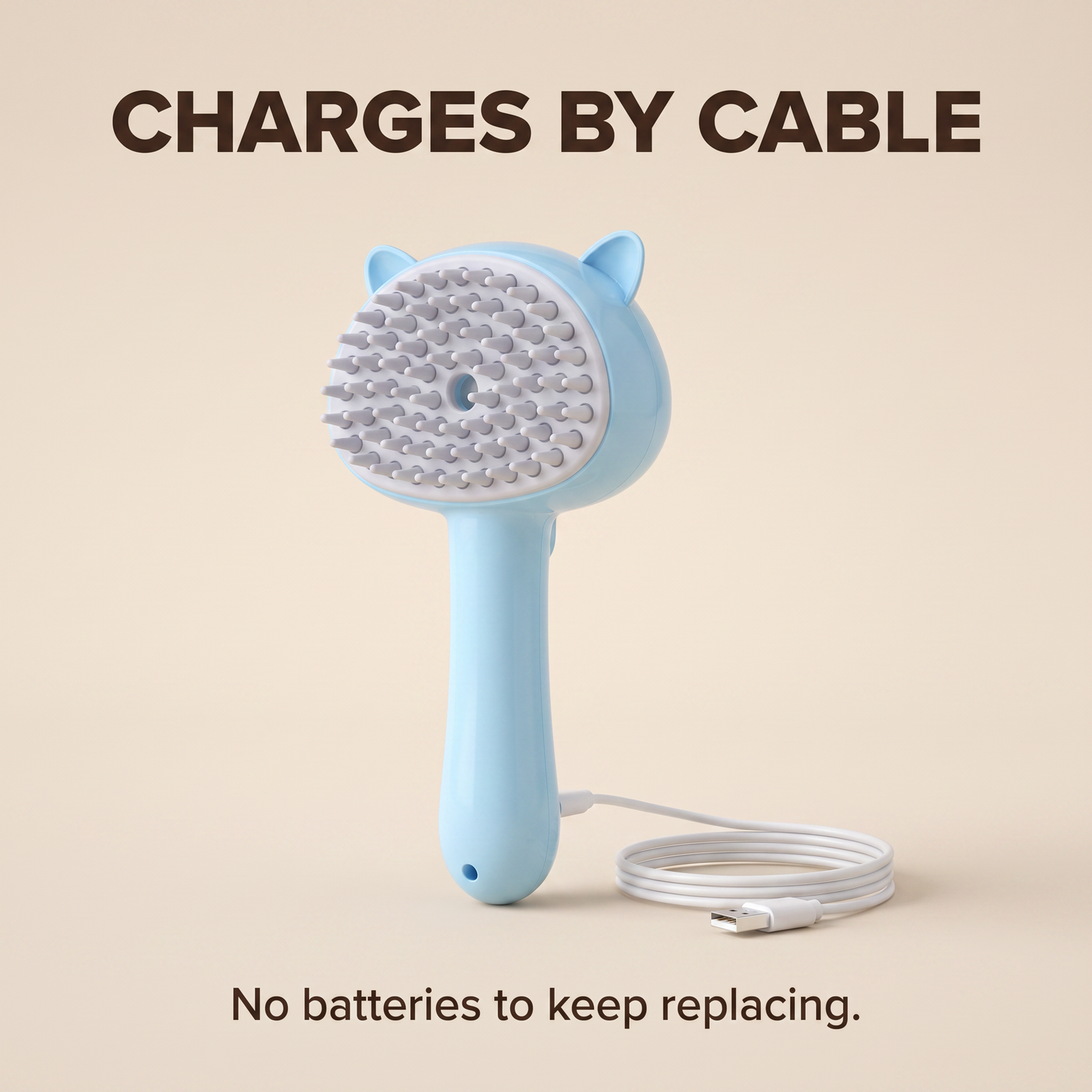 The steam grooming brush with its USB charging cable
