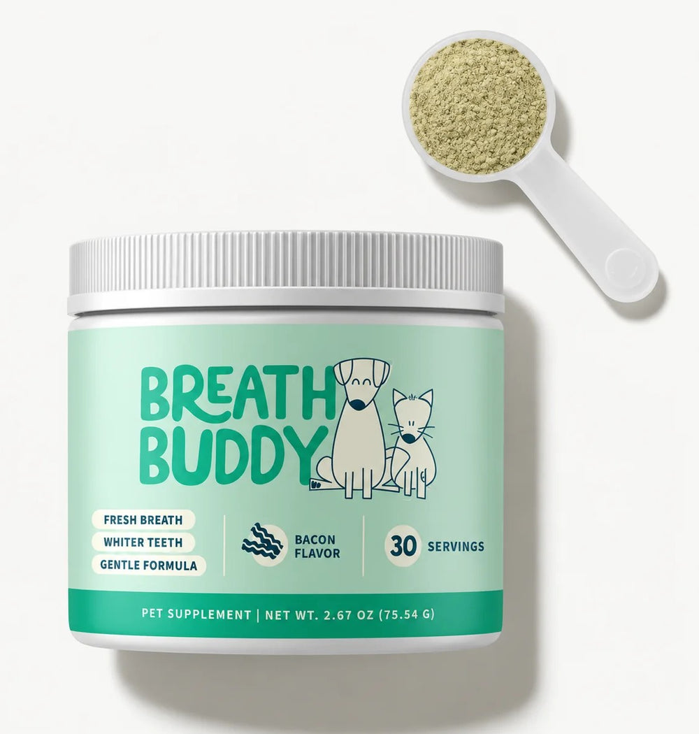 A tub of dog dental powder with a scoop of powder