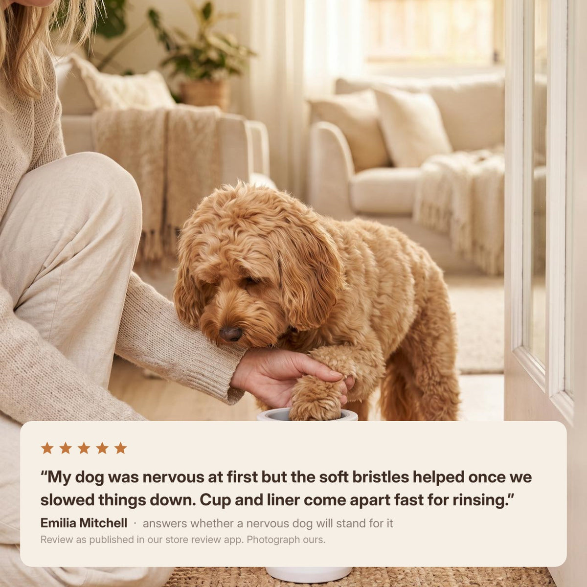A dog having a paw washed at the door, with a review about a nervous first go and how fast the cup and liner come apart