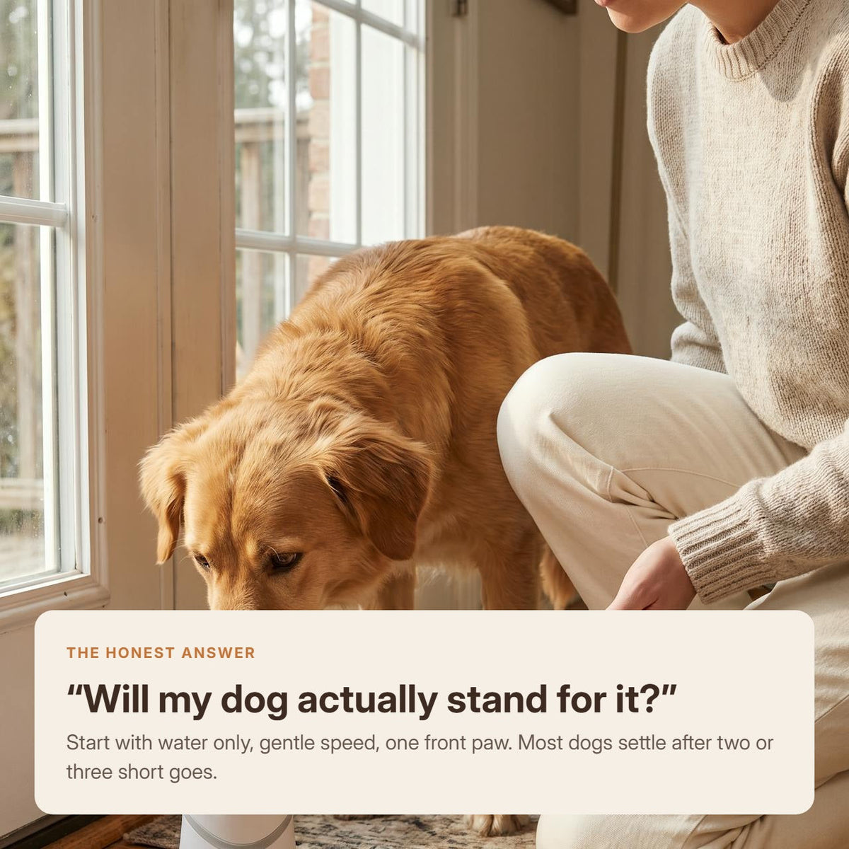 A dog investigating the Doorstep Paw Wash on the first go, with the question owners ask and the honest answer