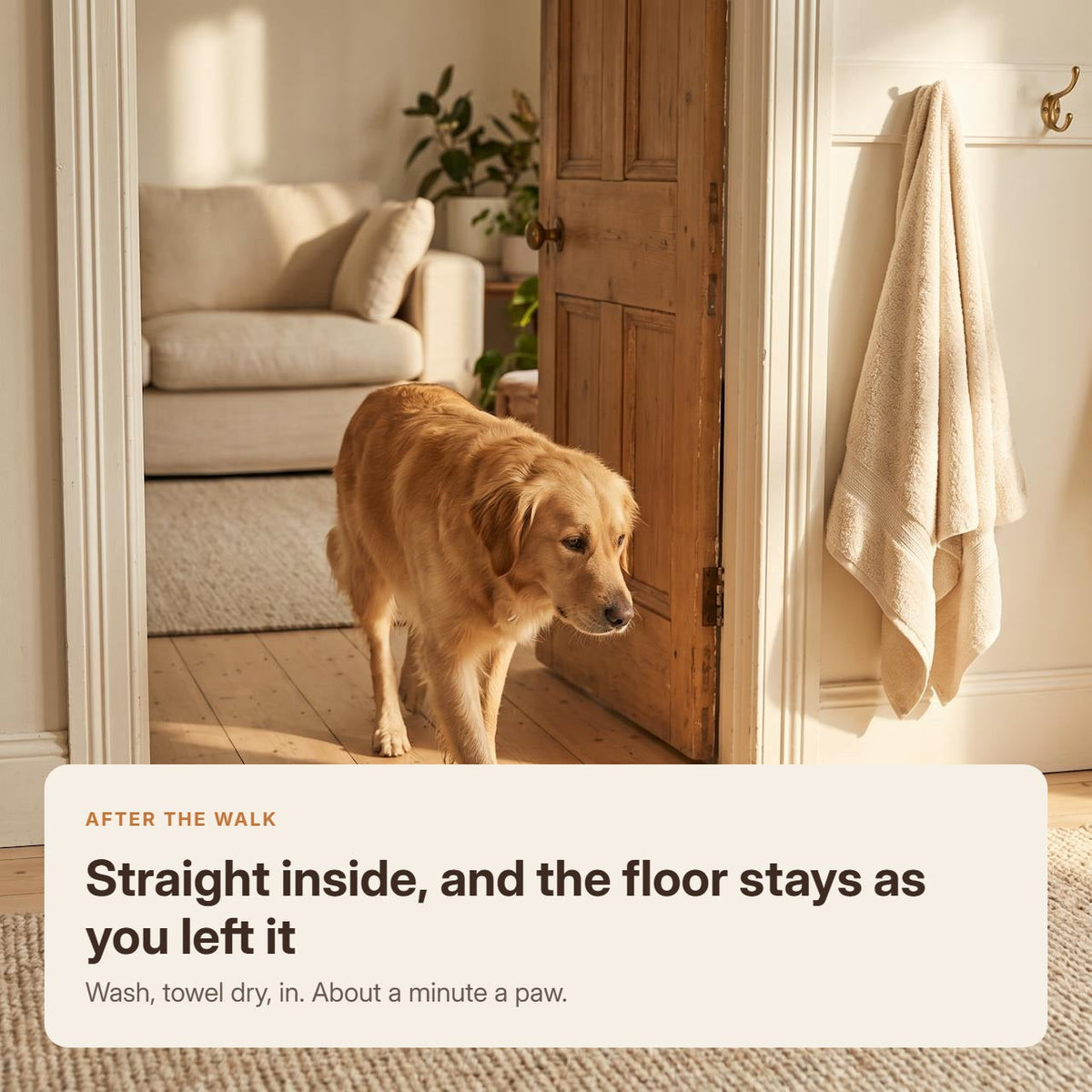 A dog walking back inside on clean paws, with the floor left as it was