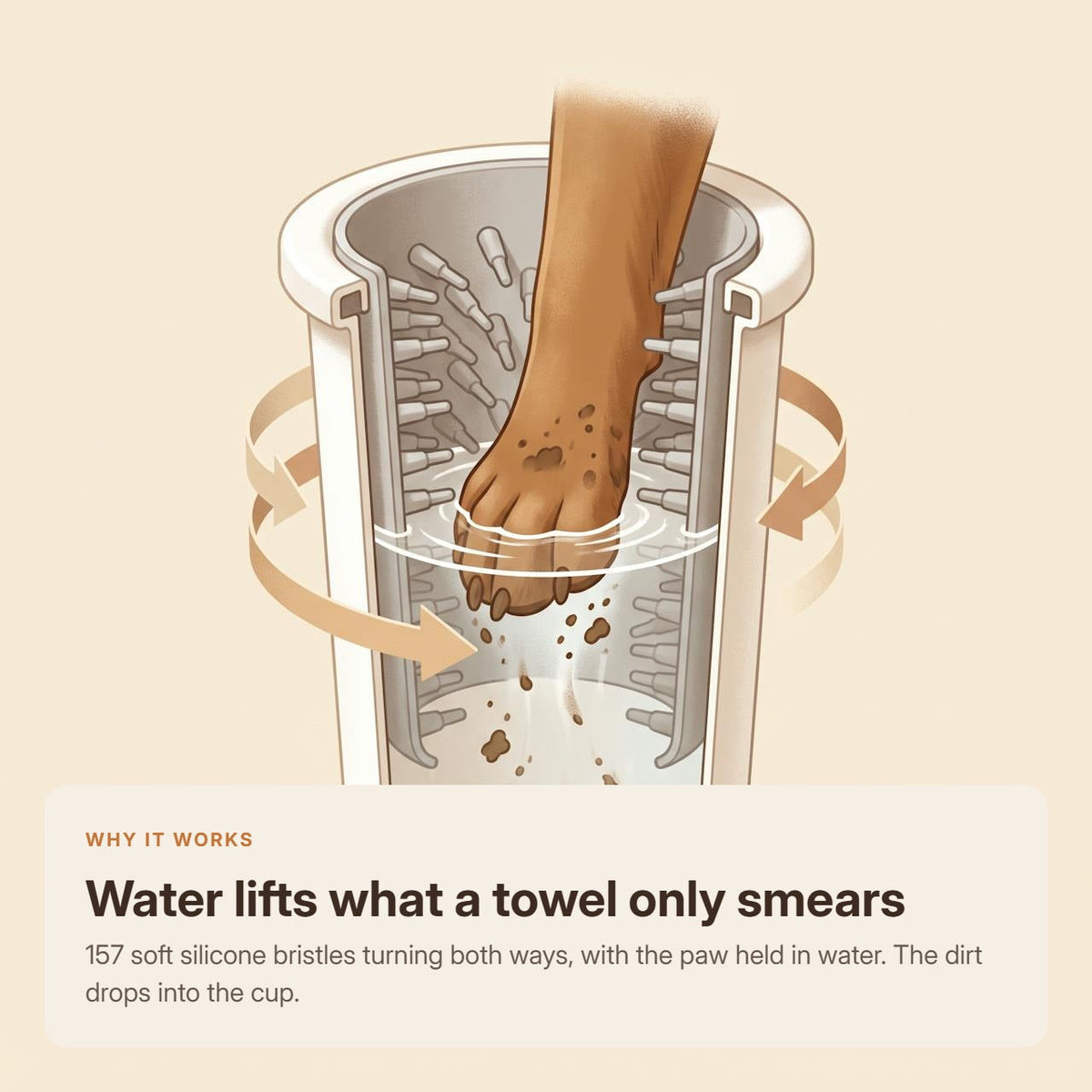 Cutaway of the paw held in water while the bristles turn both ways and the dirt drops into the cup
