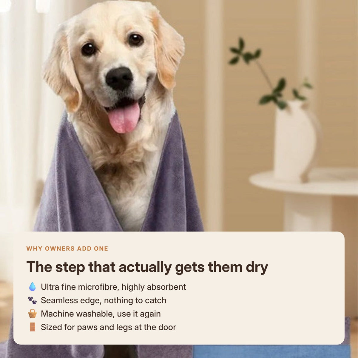 A dog wrapped in the towel, with the four reasons owners add one