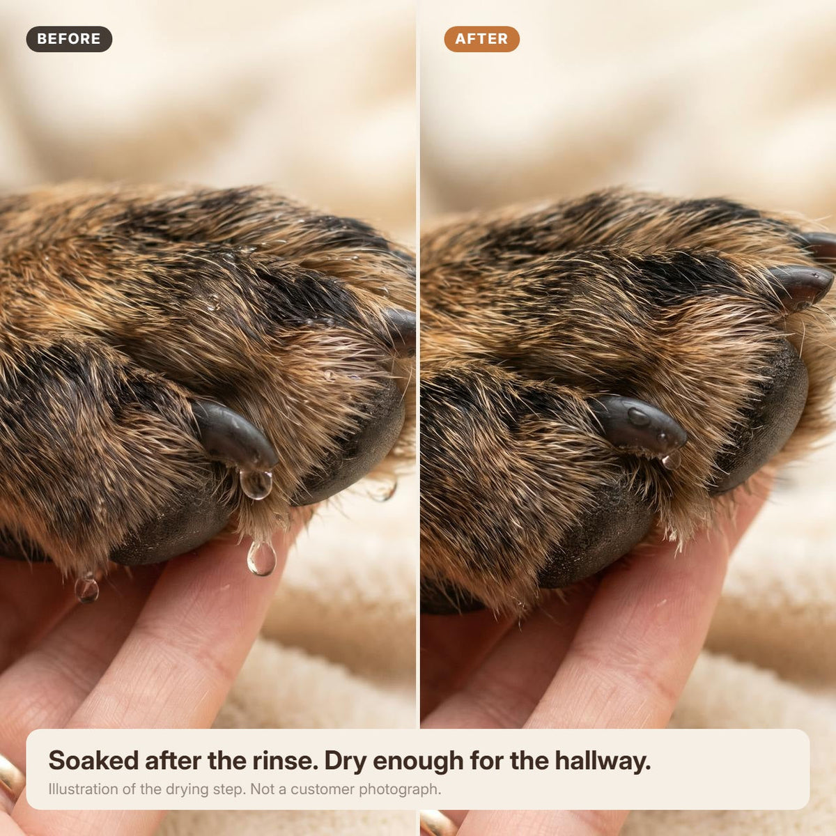 Illustration of a soaked paw beside a dry paw, showing the drying step