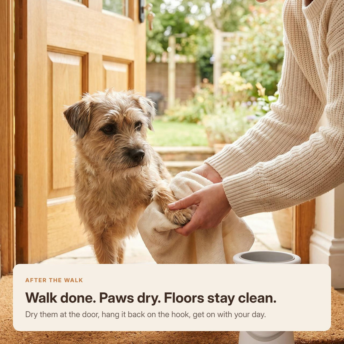A dog having its paw dried at the front door after a walk